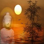 royalty-free-music, healing music, meditation, video